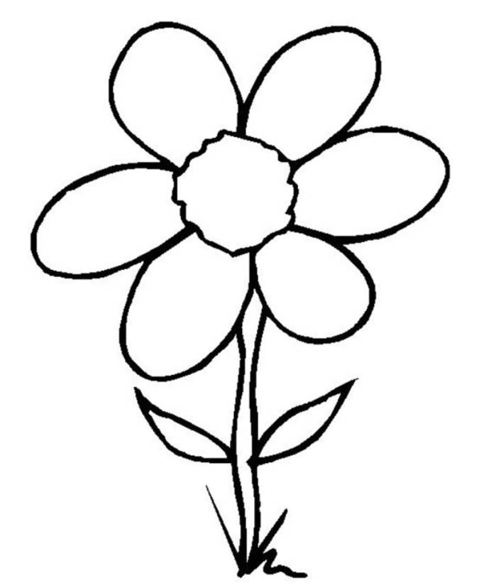 Line Drawing Of Flowers Clipart