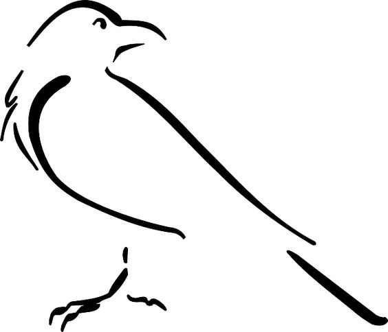 Bird outline, Drawings and Google