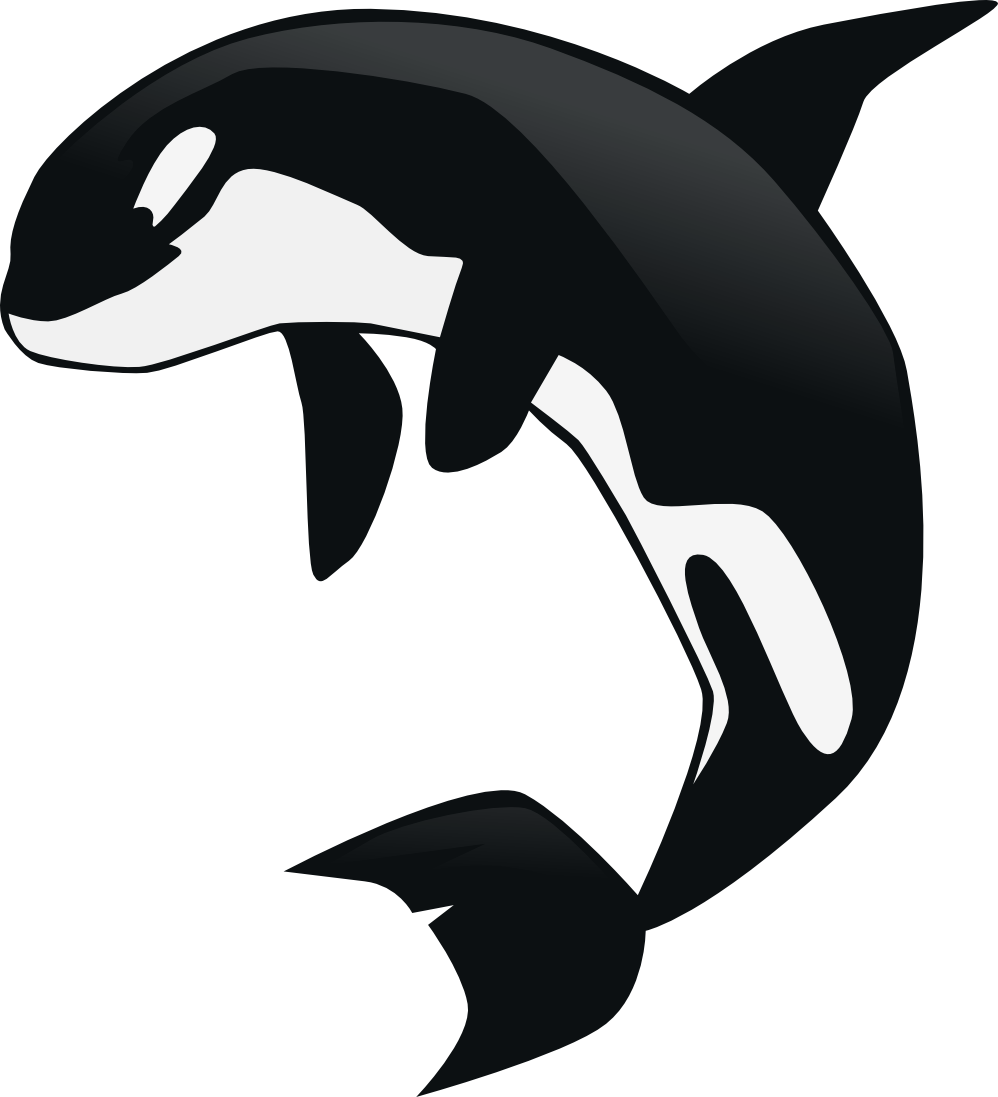 killer whale clipart | Hostted