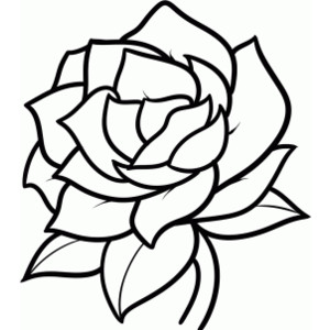 Cool Pictures Of Flowers To Draw - ClipArt Best
