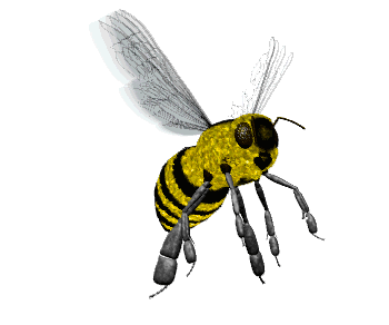 Cute Animated Honey Bee Gifs at Best Animations