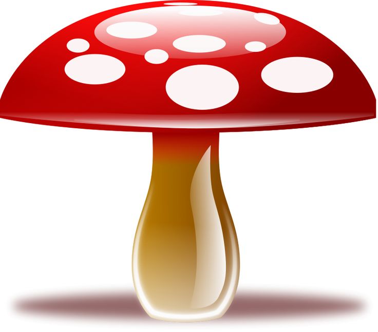 Mushroom Clipart | Free Photo ...