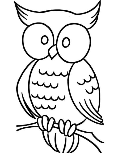 unique coloring pages owl cartoon - photo #8