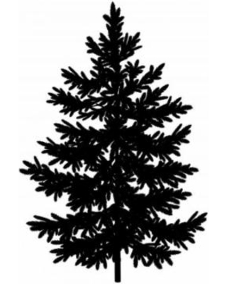 Christmas Deal on Wallmonkeys Christmas Spruce Fir Tree Silhouette ...