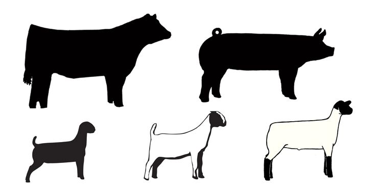 Livestock Clipart - ClipArt Best