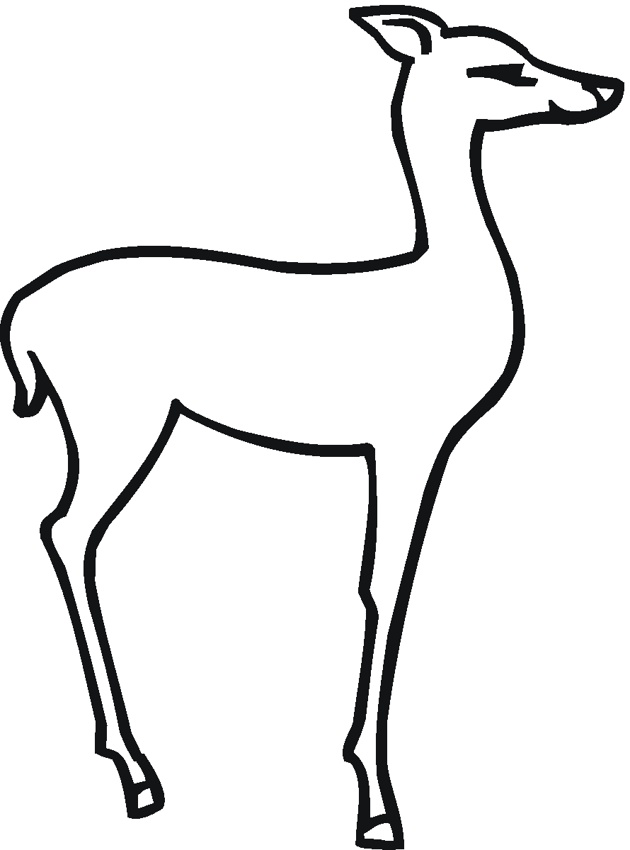 Buck And Doe Coloring Pages - AZ Coloring Pages