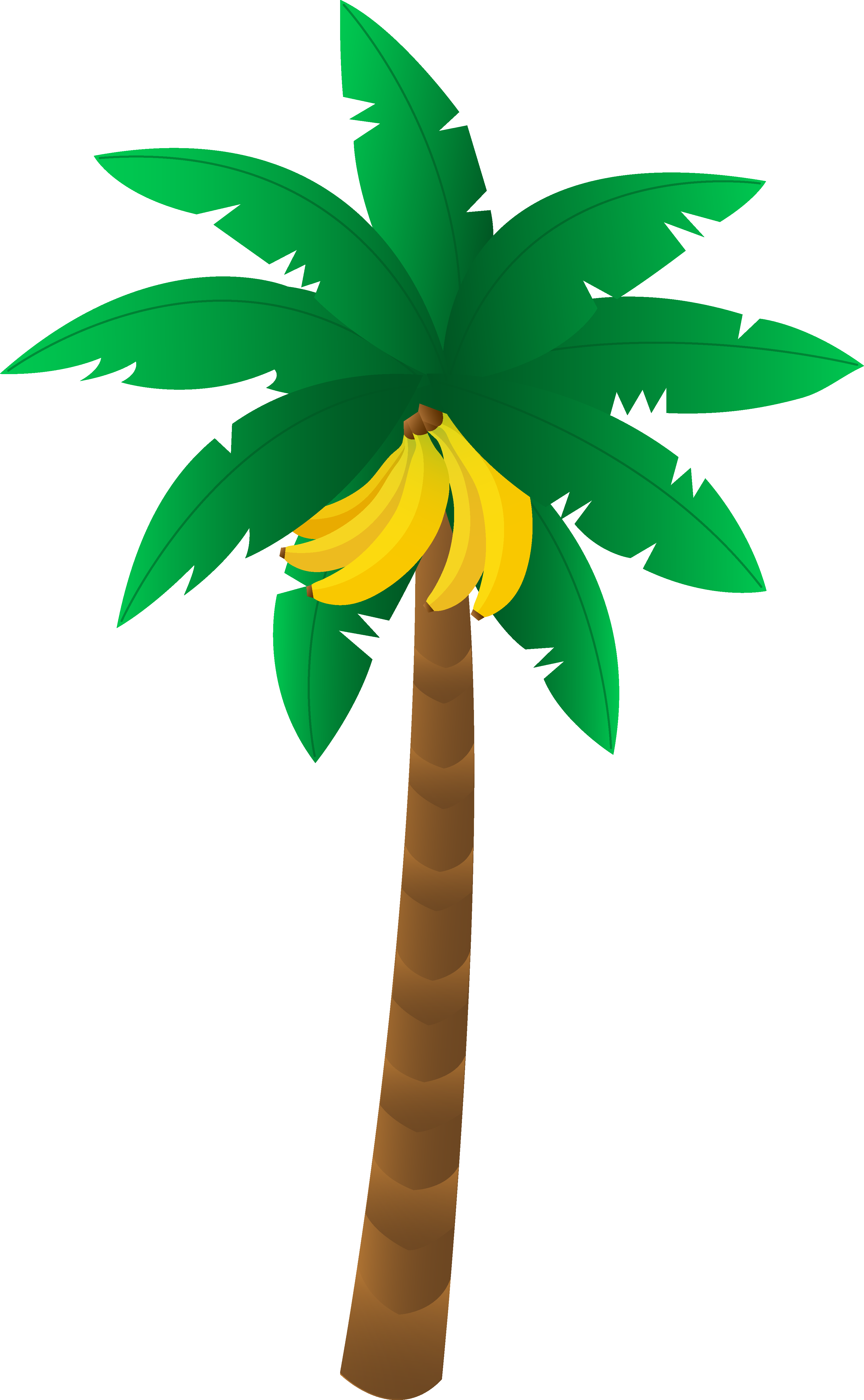 Banana tree images clip art