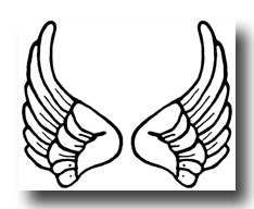 Large Angel Wings