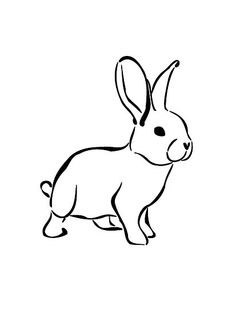 Bunny drawing, Drawings and Search