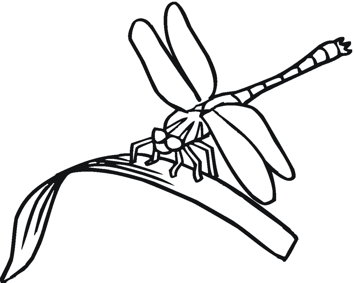 Dragonfly Line Drawing Clipart - Free to use Clip Art Resource