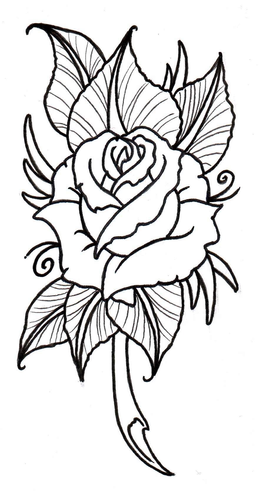 Traditional Rose Drawing - ClipArt Best