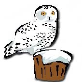Snowy Owl Clip Art - Tumundografico