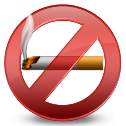 Hot No Smoking Icon - Medical and Health Care Icons - SoftIcons.com