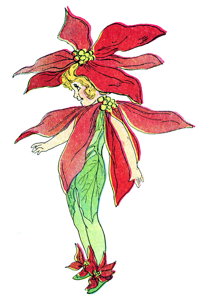 poinsettia flower free clip art - photo #24