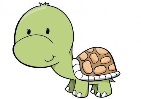 Clipart baby turtle