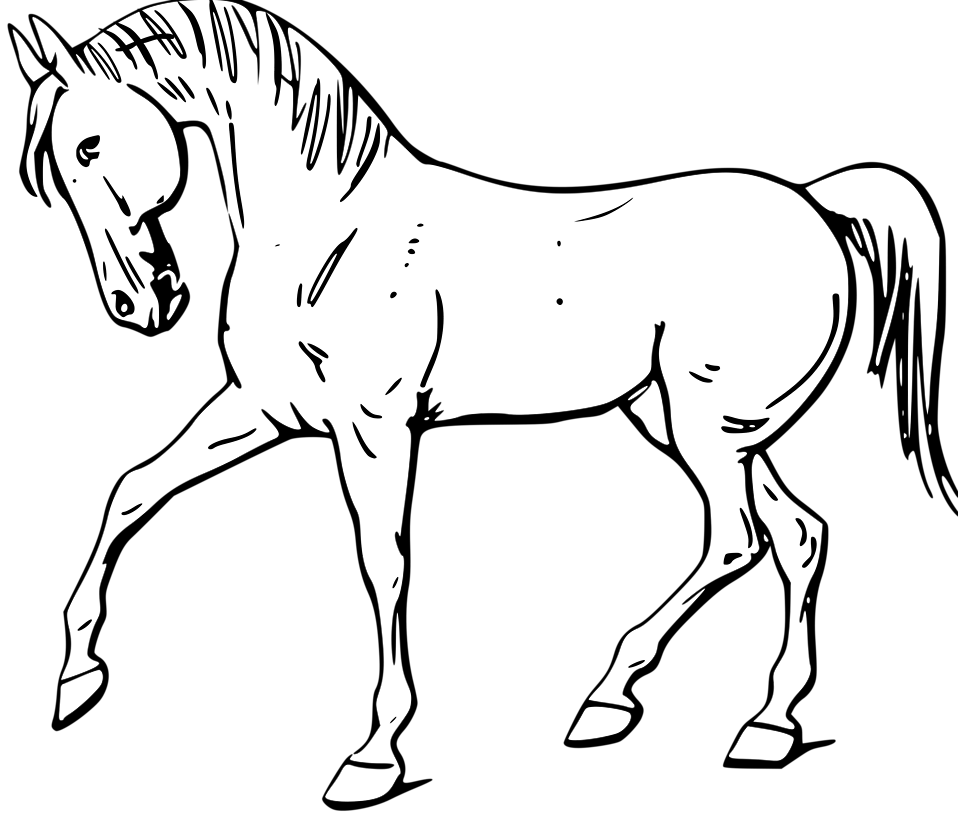 Free black and white horse clip art - ClipartFox