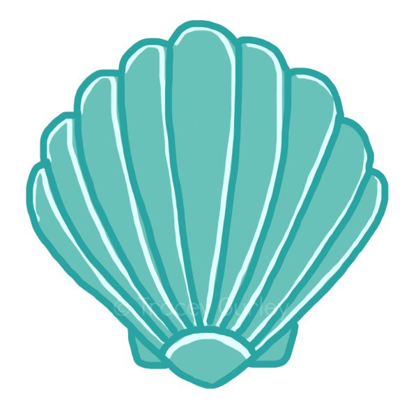 Seashell vector clipart