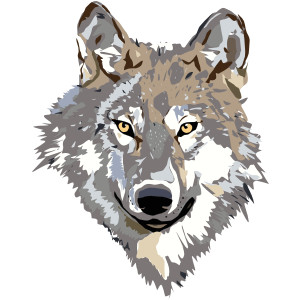 Wolf clip art - vector clip art online, royalty free & public ...