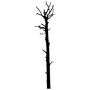 Dead Tree Clipart - Tumundografico