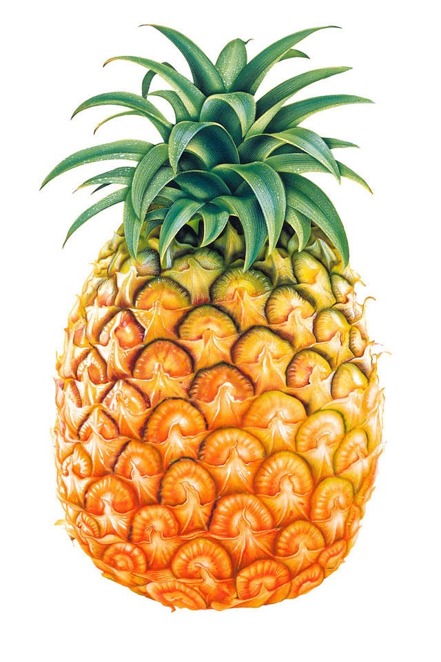 Cartoon Pineapple | Free Download Clip Art | Free Clip Art | on ...