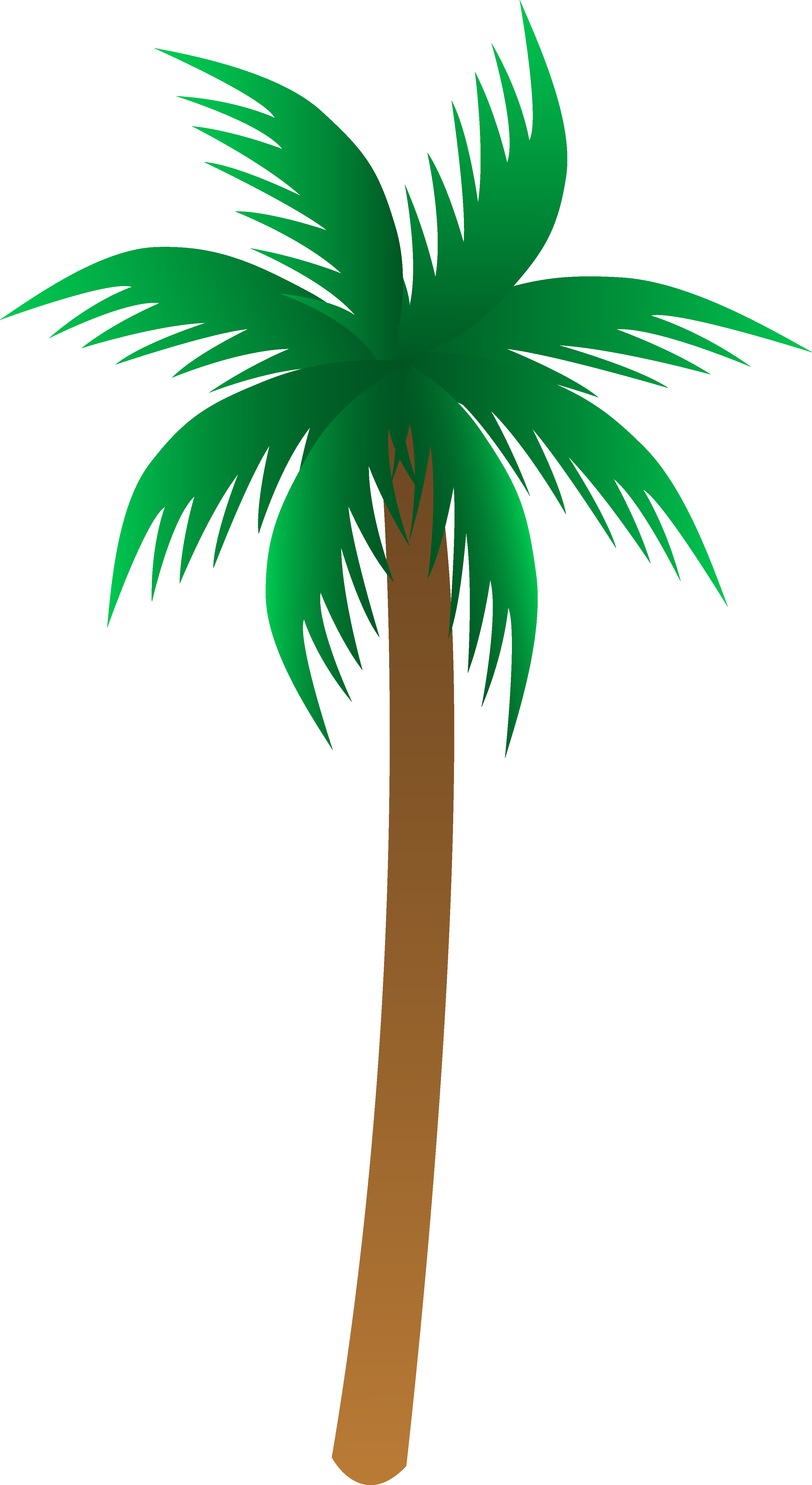 Clipart palm tree