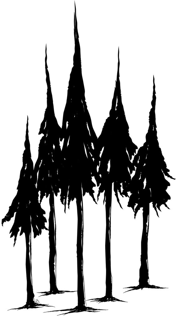 568 views Tree line, Tree silhouette and Pine