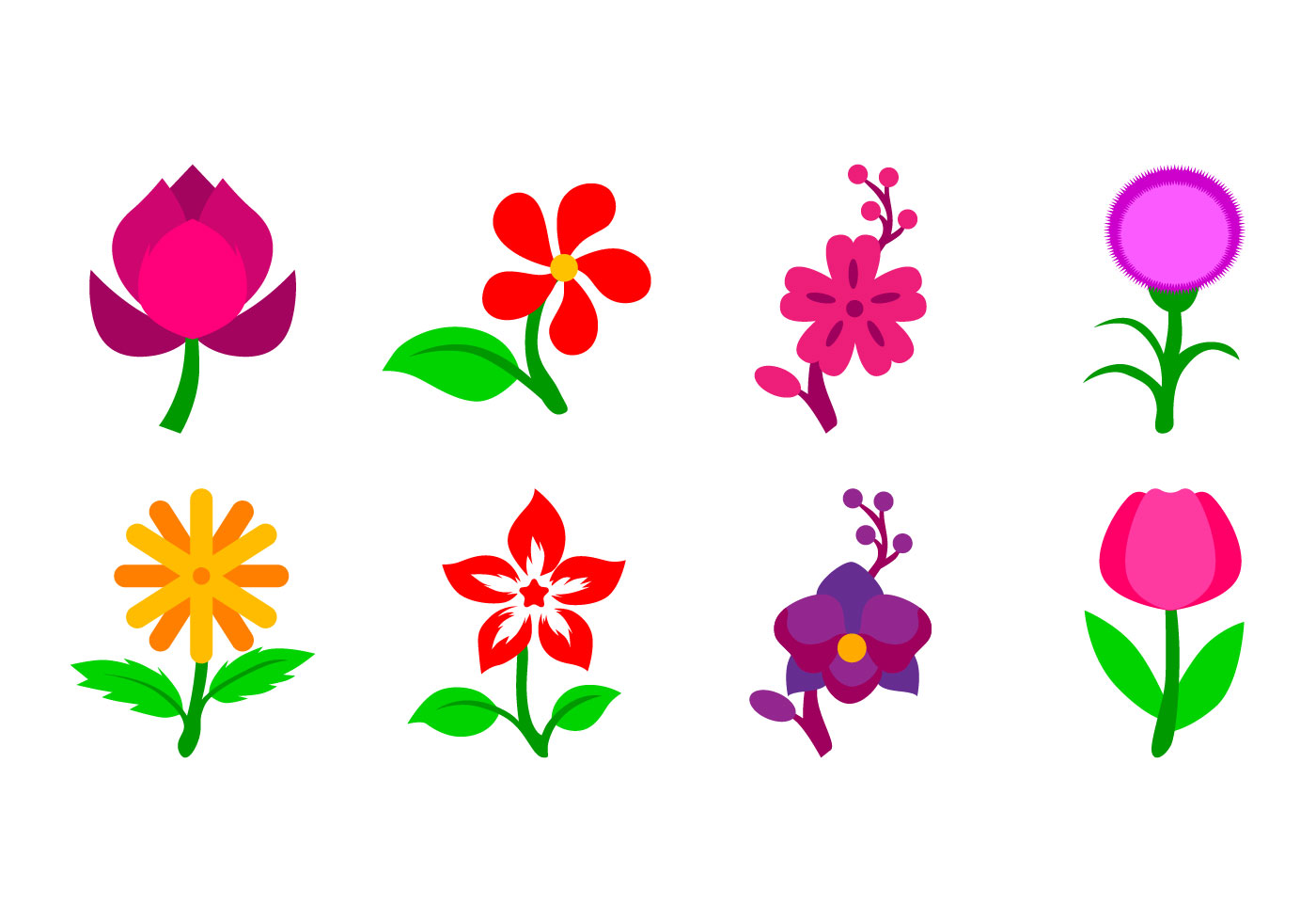 Carnation Vector - Download Free Vector Art, Stock Graphics & Images