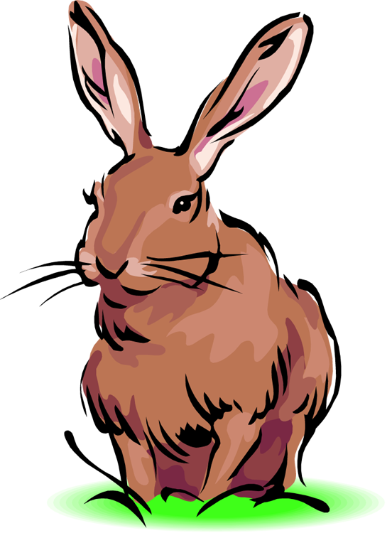 Rabbit clip art free