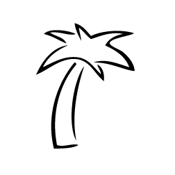 Palm Tree Outline Clipart