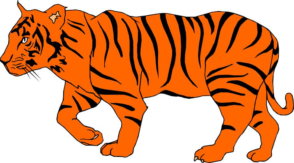 Bengal tiger clip art - Cliparting.com