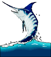 Fish Clip Art/Dolphin, Marlin, Octupus, Whale, etc. FREE