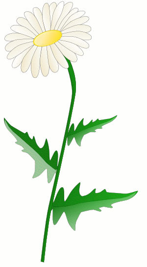 Free Daisy Clipart - Public Domain Flower clip art, images and ...