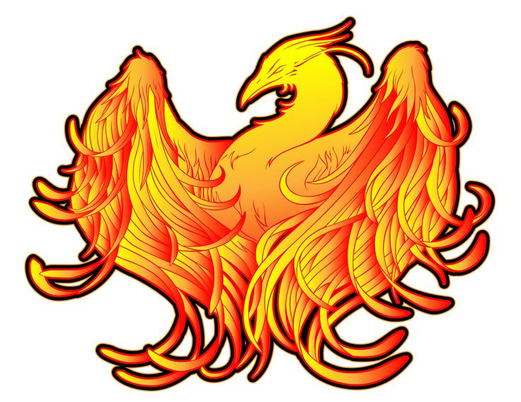 Phoenix Bird Tattoos | Phoenix ...