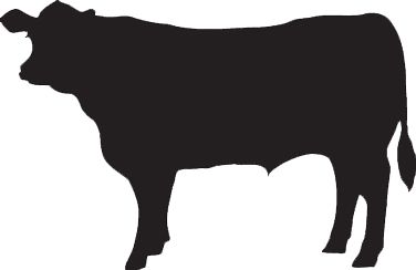 9+ Cattle Silhouette Clip Art