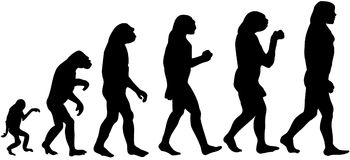 Evolution Clip Art Images - Free Clipart Images