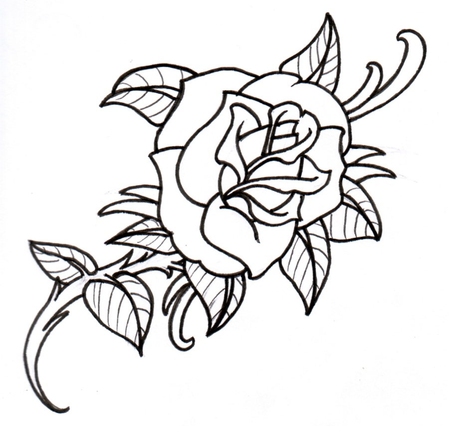 Traditional Rose Outline Drawing - ClipArt Best