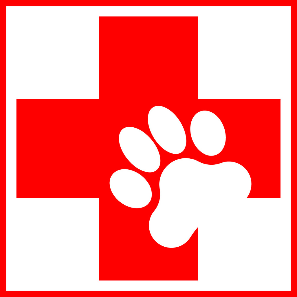 First Aid Logo Clipart - Free to use Clip Art Resource
