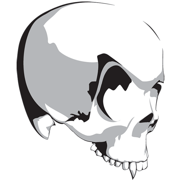 Vector Vampire Skull | Download Free Vector Art | Free-Vectors