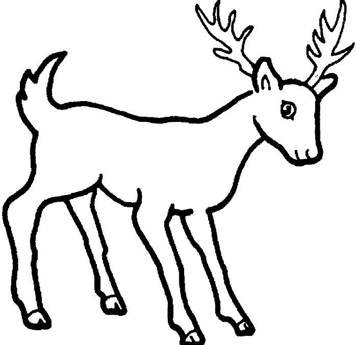 Free Printable Deer Coloring Pages For Kids inside Coloring Pages ...