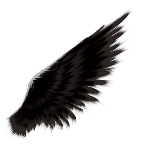 Angel Wings Photoshop | Joy Studio Design Gallery - Best Design