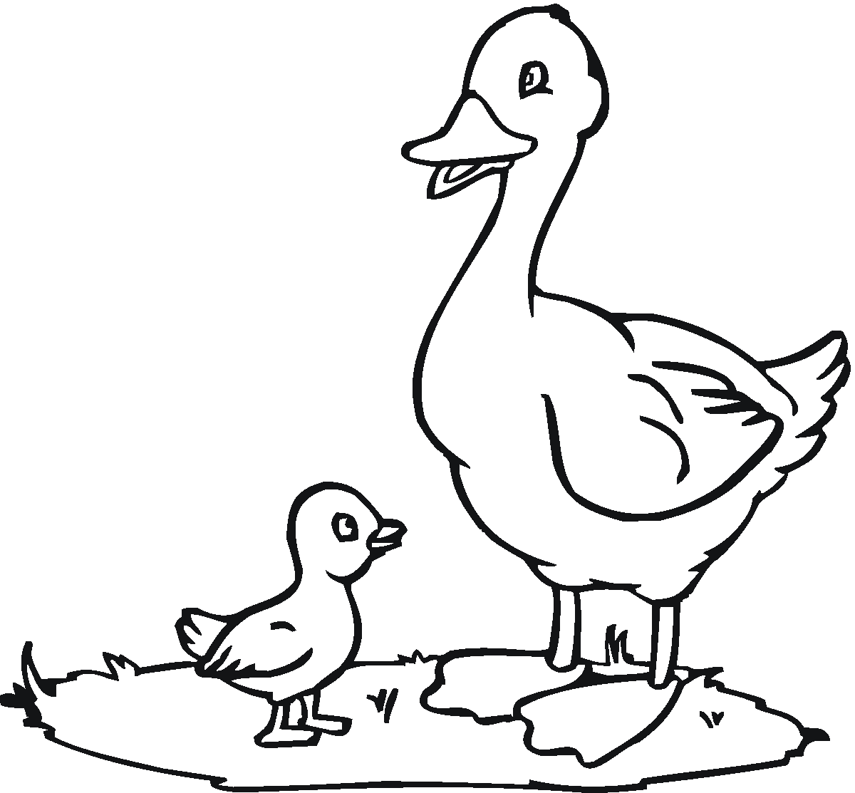 duck-template-preschool-clipart-best