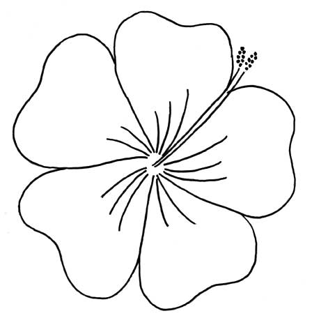 Hibiscus Flower Outline