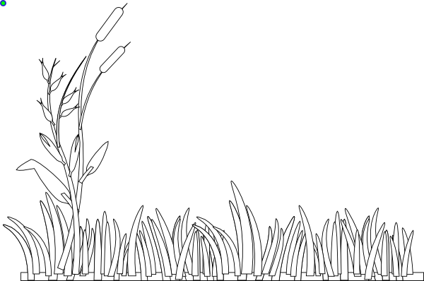 grass-outline-clipart-best