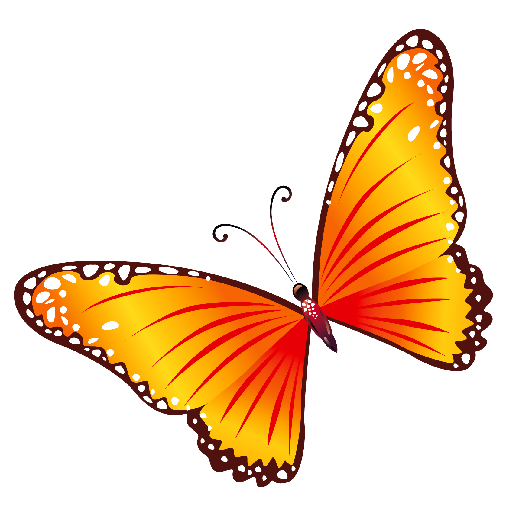 animated butterfly clipart free - photo #50