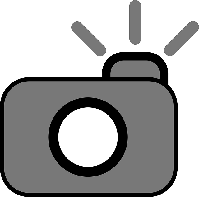 Camera Flash Graphic - Free Clipart Images - ClipArt Best - ClipArt Best