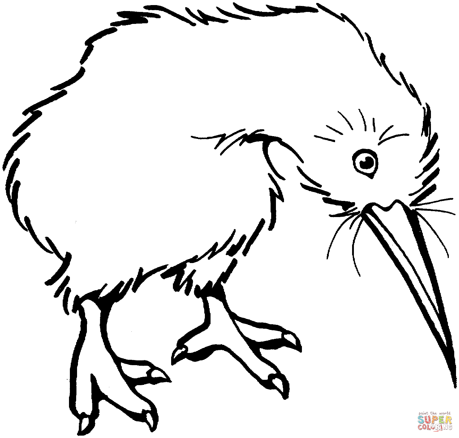 Kiwi Line Drawing - ClipArt Best