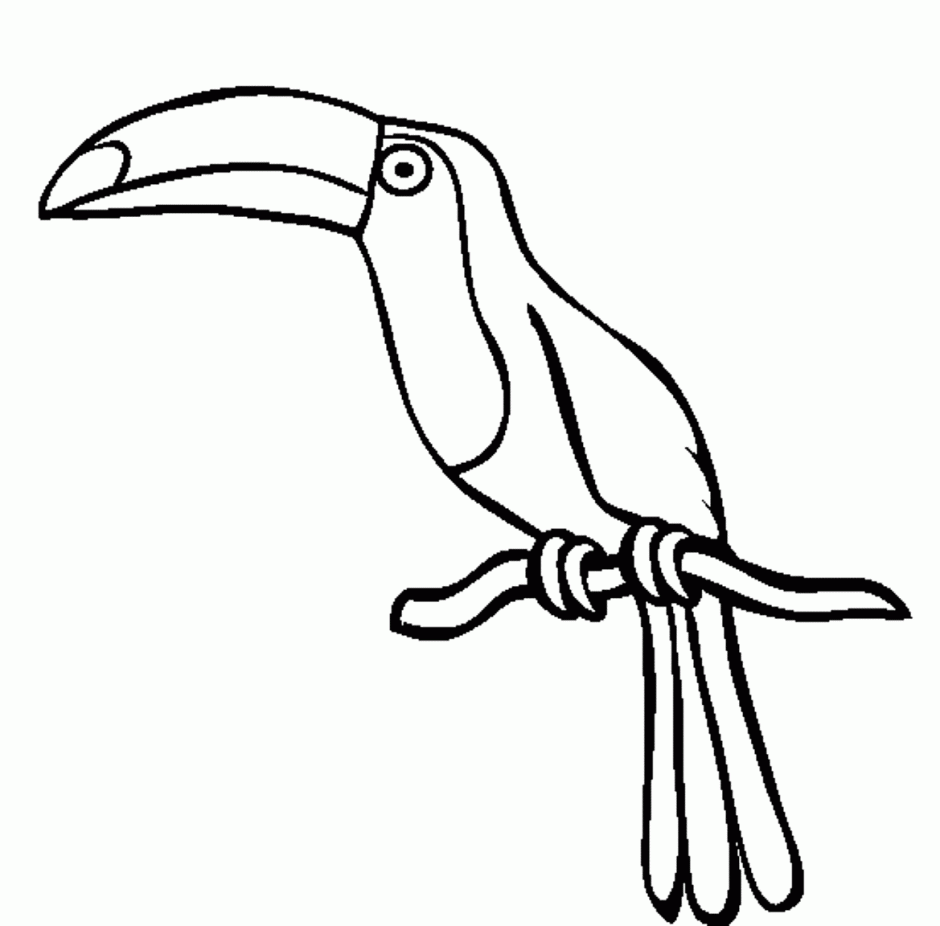 toucan silhouette Colouring Pages (page 2)