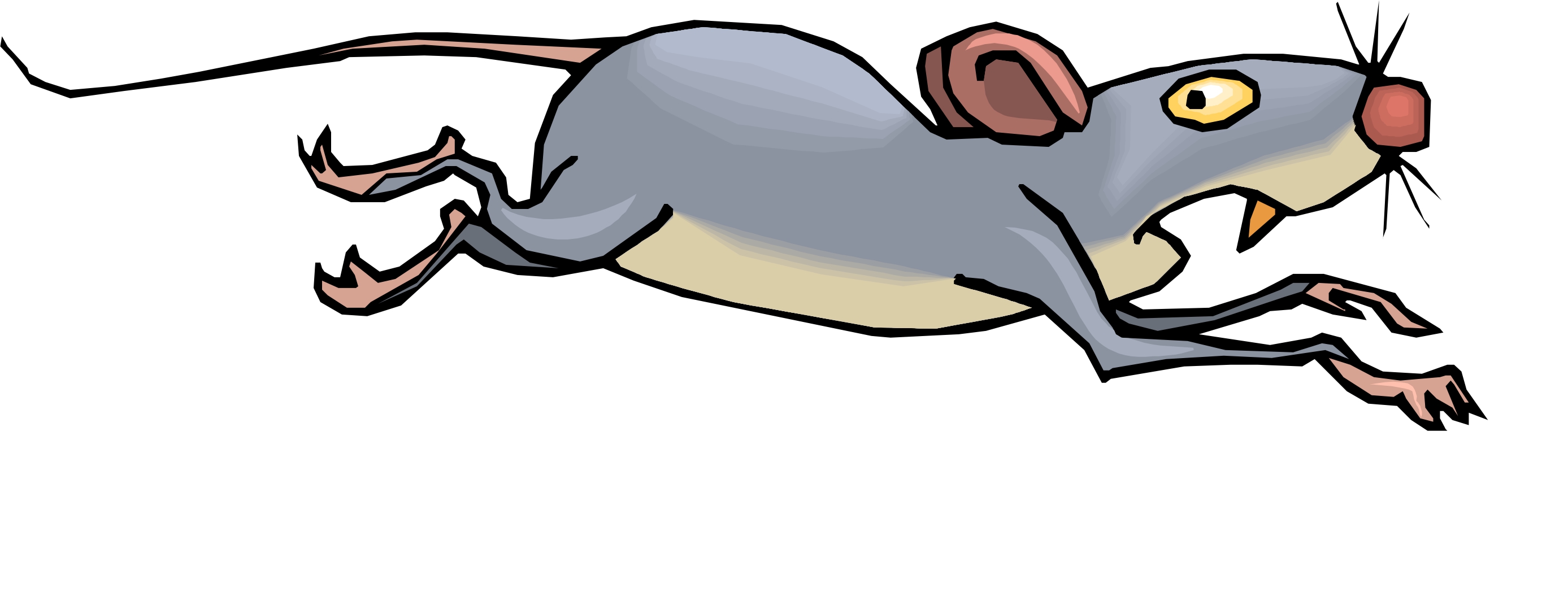 Cartoon Picture Of Mouse | Free Download Clip Art | Free Clip Art ...