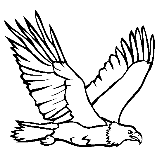 Bald Eagle coloring page - Animals Town - animals color sheet ...