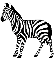 Zebra Print Tumblr Backgrounds Themes Clipart - Free to use Clip ...